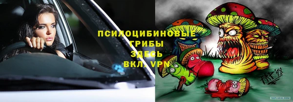 apvp Абаза