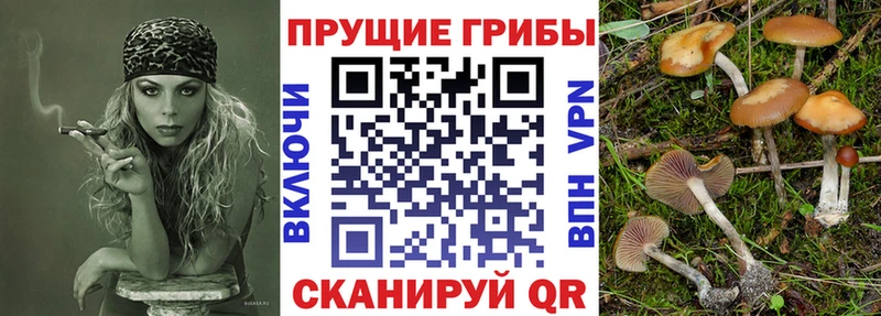 Псилоцибиновые грибы MAGIC MUSHROOMS  магазин    Алатырь 
