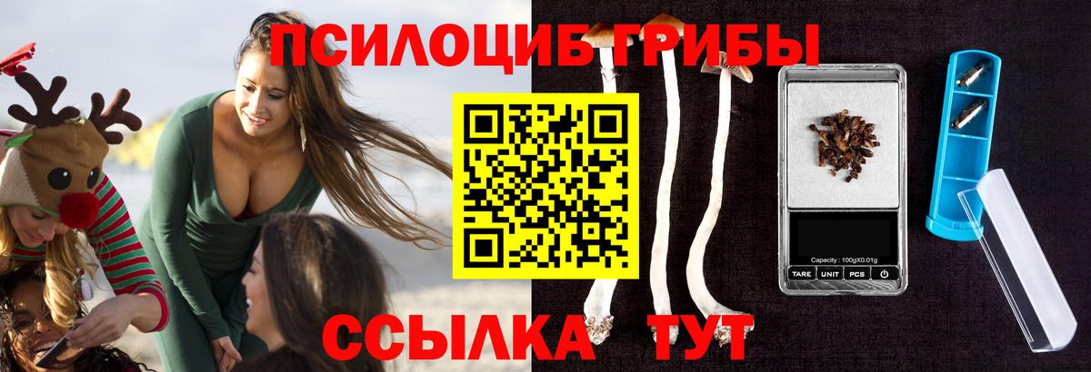 Галлюциногенные грибы прущие грибы  Псилоцибиновые грибы Psilocybe  Вход с VPN  Алатырь 