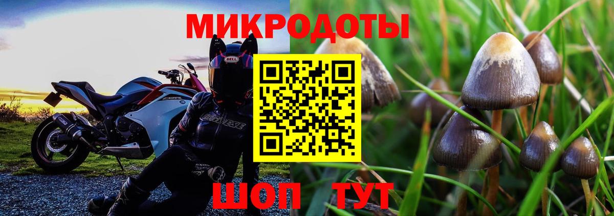 Галлюциногенные грибы Magic Shrooms Алатырь