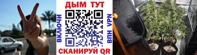 наркошоп Алатырь Шишки марихуана семена